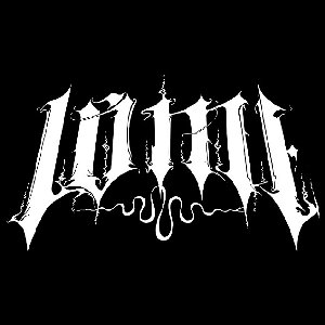 LVME 的头像