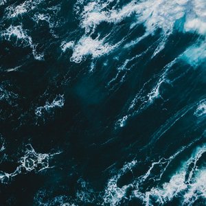 Oceanic Voices 的头像