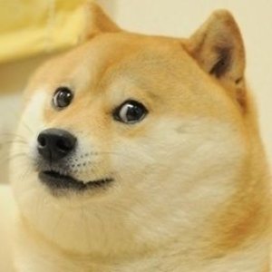 DogE için avatar