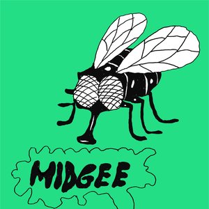 Midgee 的头像