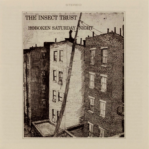 The Insect Trust - Ragtime Millionaire Lyrics - Zortam Music