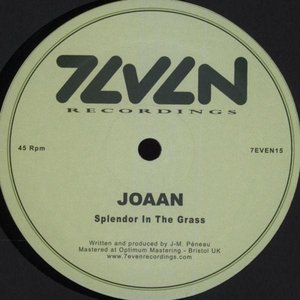 Splendor In The Grass
