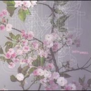 Earth/KK Null 的头像