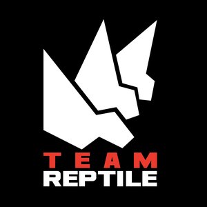 Team Reptile 的头像