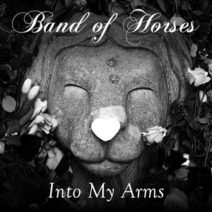 Into My Arms - Single