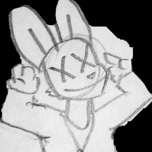 DestructiveFox 的头像