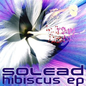 Hibiscus EP