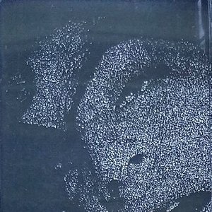 Avatar for Destroyed Remains