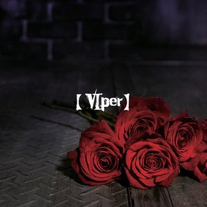 【VIper】