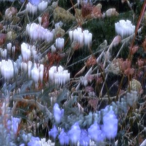 the winds in reverse