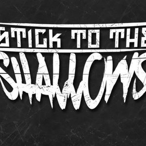 Avatar for Stick to the Shallows