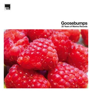 Goosebumps – 25 Years of Marina Records
