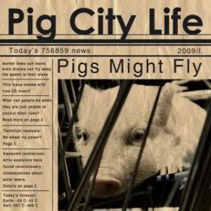 Pig City Life