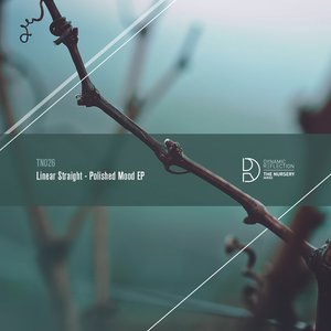 Polished Mood EP