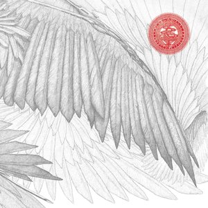The Bug Feat. Death Grips 的头像