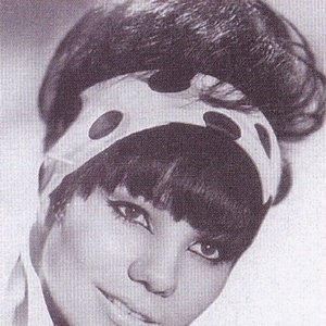 Beverly Warren 的头像