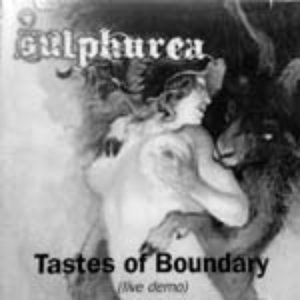 Tastes of Boundary