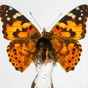 Bullet with Butterfly Wings - Single