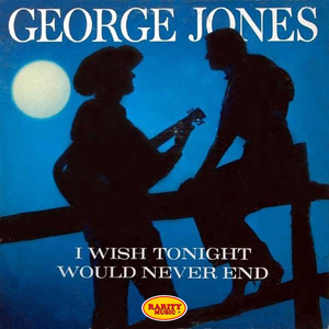 I Wish Tonight Would Never End cover