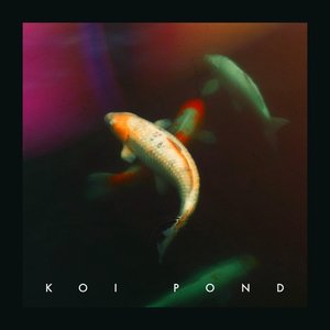 Koi Pond - Single