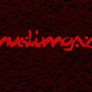 Muslimgaze 的头像