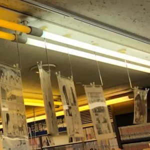 Yuri Manga 的头像