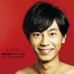 演歌名曲コレクション20 〜ちょいときまぐれ渡り鳥〜