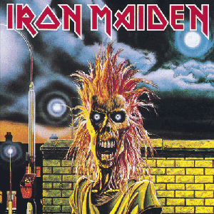 20 Iron Pieces