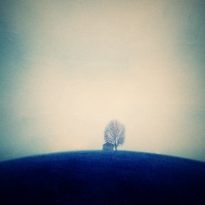 Avatar di Zain-ul-Abidyn