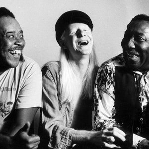Muddy Waters, Johnny Winter & James Cotton 的头像