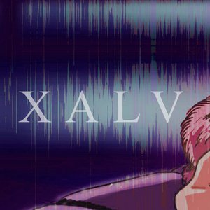 Xalv 的头像