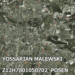Z12H7801050702/Posen