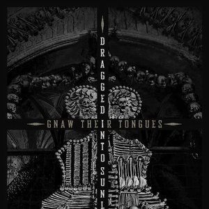 Dragged Into Sunlight & Gnaw their Tongues 的头像