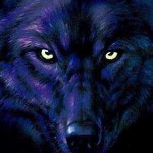 Wolfhaus 的头像