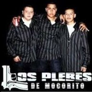 Avatar for Los Plebes De Mocorito