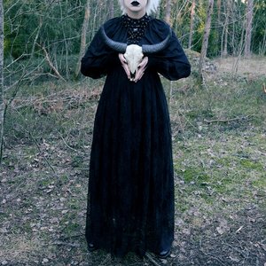 I Am the Storm - Single