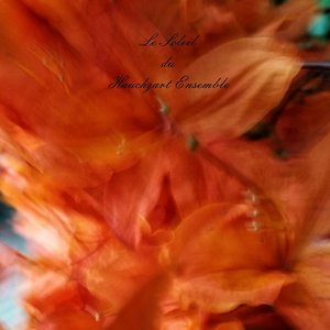 Le Soleil du Hauchzart Ensemble
