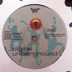 Nuttin' Nis Funky