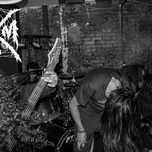 Pestilent Death 的头像