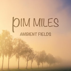 Ambient Fields