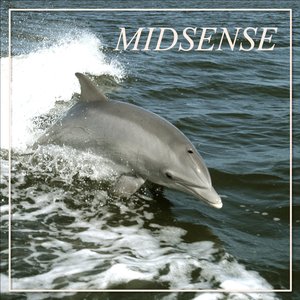 “Midsense Vol. 2”的封面