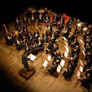 Vitas Antonavichius: Baltic Festival Orchestra 的头像