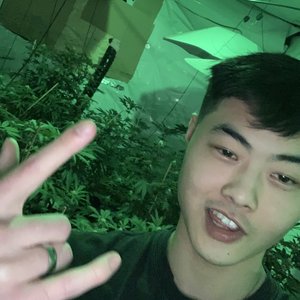 Vampurp 的头像