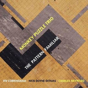 Snow Patrol - The Pattern Familiar - Zortam Music