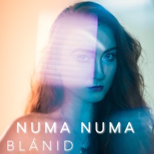 Numa Numa (Dragostea Din Tei) - Single