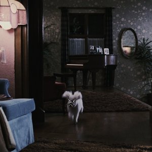 Amiga - Single