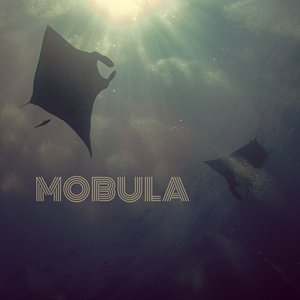 Mobula