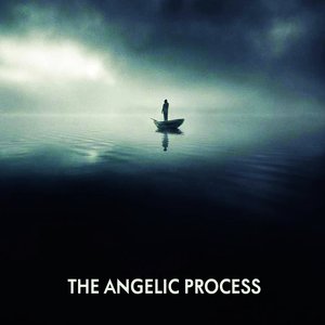 The Angelic Process