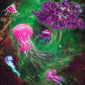 Deep Sea Invertebrates From Outer Space