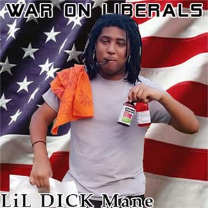 War on Liberals